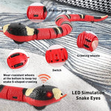 SmartySnake Interactive Toy