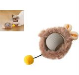 PetMotion Active Ball