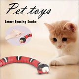 SmartySnake Interactive Toy