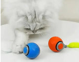 ActiveCat Joy Ball