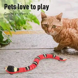 SmartySnake Interactive Toy