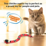 SmartySnake Interactive Toy